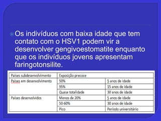 Os indivíduos com baixa idade que tem contato com o HSV1 podem vir a desenvolver gengivoestomatite enquanto que os indivíduos jovens apresentam faringotonsilite.