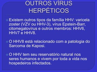OUTROS VÍRUS HERPÉTICOSExistem outros tipos da família HHV: varicela zoster (VZV ou HHV-3), vírus Epstein-Barr, citomegalovírus e outros membros: HHV6, HHV7 e HHV8.O HHV8 está relacionado com a patologia do Sarcoma de Kaposi.O HHV tem seu reservatório natural nos seres humanos e vivem por toda a vida nos hospedeiros infectados.
