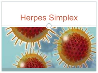 Herpes Simplex

 