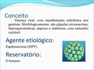 Conceito

Doença viral, com manifestação subclínica nos
genitais. Morfologicamente, são pápulas circunscritas,
hiperquerotósicas, ásperas e indolores, com tamanho
variável.

Agente etiológico:
Papilomavírus (HPV).

Reservatório:
O homem.

 
