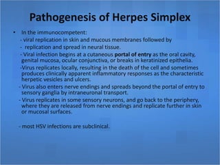 Pathogenesis of Herpes Simplex
• In the immunocompetent:
- viral replication in skin and mucous membranes followed by
- replication and spread in neural tissue.
- Viral infection begins at a cutaneous portal of entry as the oral cavity,
genital mucosa, ocular conjunctiva, or breaks in keratinized epithelia.
-Virus replicates locally, resulting in the death of the cell and sometimes
produces clinically apparent inflammatory responses as the characteristic
herpetic vesicles and ulcers.
- Virus also enters nerve endings and spreads beyond the portal of entry to
sensory ganglia by intraneuronal transport.
- Virus replicates in some sensory neurons, and go back to the periphery,
where they are released from nerve endings and replicate further in skin
or mucosal surfaces.
- most HSV infections are subclinical.
 