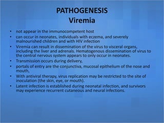 PATHOGENESIS
Viremia
• not appear in the immunocompetent host
• can occur in neonates, individuals with eczema, and severely
malnourished children and with HIV infection
• Viremia can result in dissemination of the virus to visceral organs,
including the liver and adrenals. Hematogenous dissemination of virus to
the central nervous system appears to only occur in neonates.
• Transmission occurs during delivery,
• portals of entry are the conjunctiva, mucosal epithelium of the nose and
mouth,
• With antiviral therapy, virus replication may be restricted to the site of
inoculation (the skin, eye, or mouth).
• Latent infection is established during neonatal infection, and survivors
may experience recurrent cutaneous and neural infections.
 