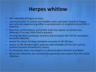 Herpes whitlow
• HSV infection of fingers or toes,
• commonly seen in infants and toddlers who suck their thumb or fingers
and who are experiencing either a symptomatic or a subclinical oral HSV-1
infection.
• becomes erythematous and tender and may appear to contain pus,
although if incised, little fluid is present.
• Incising the lesion prolongs recovery and increases the risk for secondary
bacterial infection.
• persist for about 10 days, complete recovery in 18–20 days.
• severe or life threatening in patients with disorders of the skin such as
eczema (eczema herpeticum), burns,
• If untreated, these can progress to disseminated infection and death.
• Recurrent infections are common but generally less severe than the initial
infection.
 