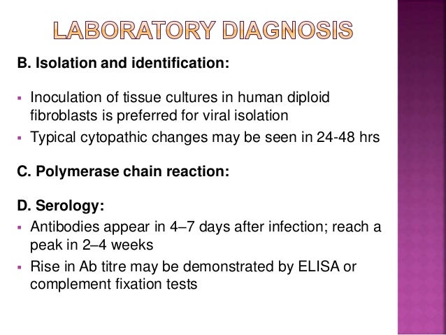 Herpes Simplex Virus