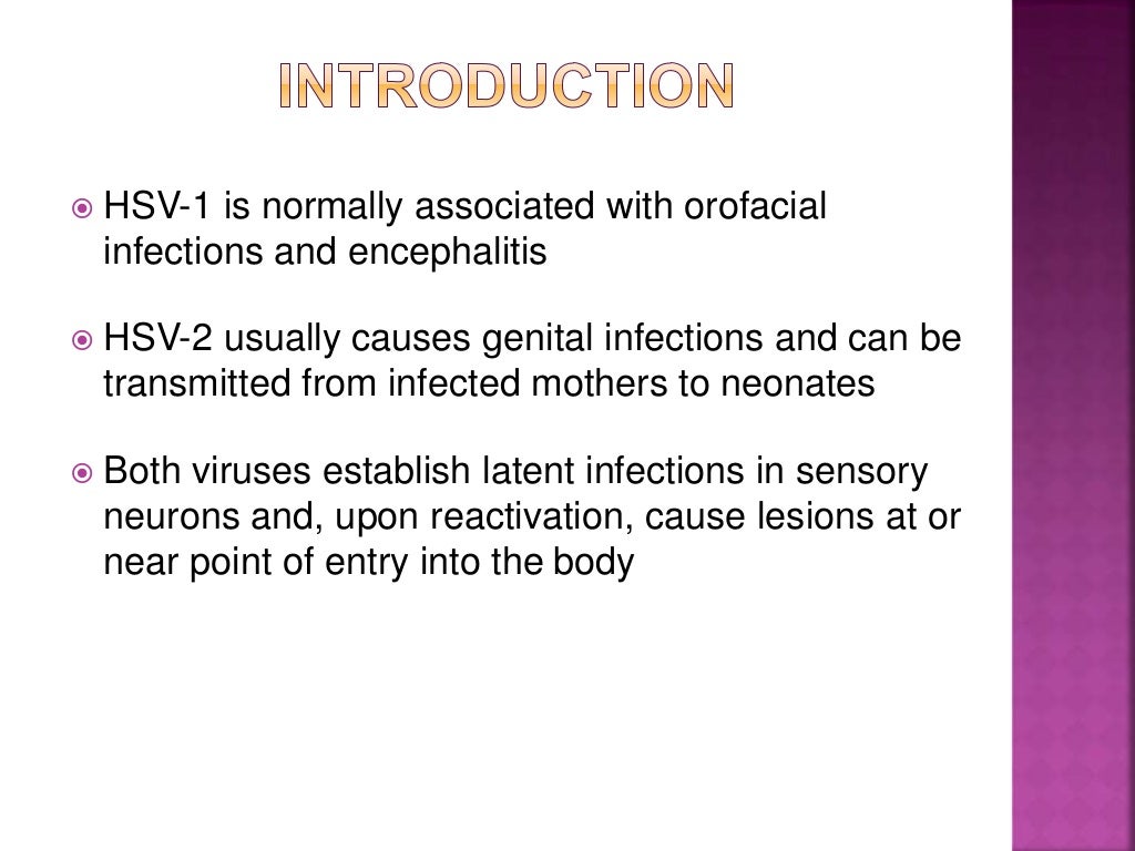 Herpes simplex virus
