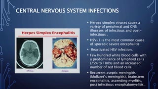 Herpes simplex virus Type 1 and Type 2 | PPTX