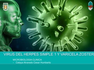 MICROBIOLOGIA CLINICA
- Celaya Alvarado Cesar Humberto
 