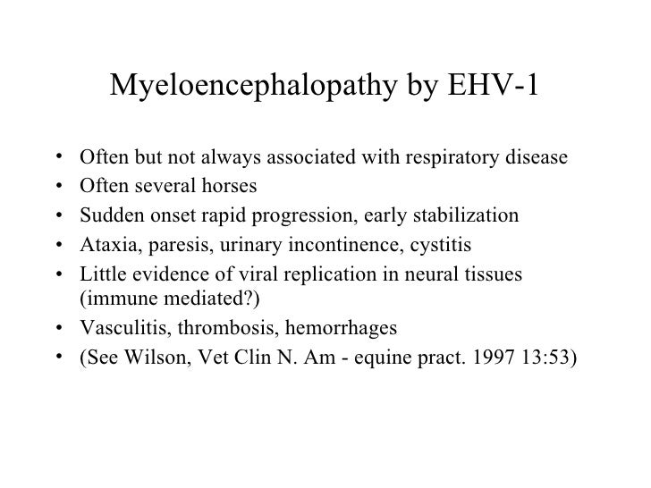 fever reduce to puppy how v Herpes fever reduce to puppy how v Herpes