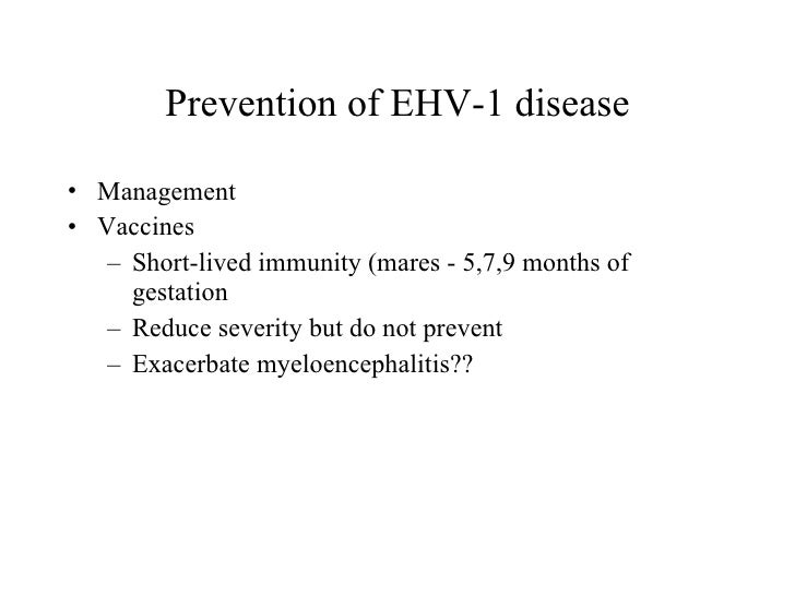 fever puppy to reduce how v Herpes fever puppy to reduce how v Herpes