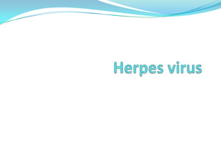 Herpes virus 