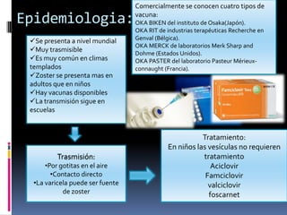 Comercialmente se conocen cuatro tipos de

Epidemiologia:                    vacuna:
                                  OKA BIKEN del instituto de Osaka(Japón).
                                  OKA RIT de industrias terapéuticas Recherche en
 Se presenta a nivel mundial     Genval (Bélgica).
                                  OKA MERCK de laboratorios Merk Sharp and
 Muy trasmisible                 Dohme (Estados Unidos).
 Es muy común en climas          OKA PASTER del laboratorio Pasteur Mérieux-
 templados                        connaught (Francia).
 Zoster se presenta mas en
 adultos que en niños
 Hay vacunas disponibles
 La transmisión sigue en
 escuelas


                                                        Tratamiento:
                                             En niños las vesículas no requieren
          Trasmisión:                                   tratamiento
      •Por gotitas en el aire                              Aciclovir
        •Contacto directo                                Famciclovir
  •La varicela puede ser fuente                           valciclovir
            de zoster                                     foscarnet
 