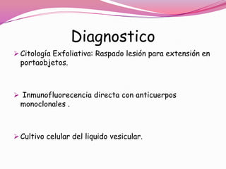 Diagnostico
 Citología Exfoliativa: Raspado lesión para extensión en
  portaobjetos.



 Inmunofluorecencia directa con anticuerpos
  monoclonales .



 Cultivo celular del liquido vesicular.
 