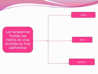 Alpha




Los herpesvirus
   forman una
 familia de virus    beta
divididos en tres
   subfamilias



                    gamma
 