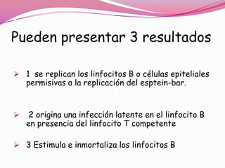 Pueden presentar 3 resultados

 1 se replican los linfocitos B o células epiteliales
    permisivas a la replicación del esptein-bar.


    2 origina una infección latente en el linfocito B
    en presencia del linfocito T competente

 3 Estimula e inmortaliza los linfocitos B
 