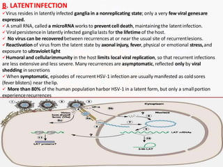 B. LATENTINFECTION
Virus resides in latently infected ganglia in a nonreplicating state; only a very few viral genesare
expressed.
A small RNA, called a microRNA works to preventcell death, maintaining the latentinfection.
Viralpersistencein latently infected ganglia lasts for the lifetime of the host.
 No virus can be recoveredbetween recurrencesat or near the usual site of recurrentlesions.
Reactivation of virus from the latent state by axonal injury, fever, physical or emotional stress,and
exposure to ultravioletlight
Humoral and cellularimmunity in the host limits local viral replication, so that recurrent infections
are less extensive and less severe. Many recurrences are asymptomatic, reflected only by viral
shedding in secretions
When symptomatic, episodes of recurrent HSV-1 infection are usually manifested as coldsores
(fever blisters) near thelip.
 More than 80% of the human population harbor HSV-1 in a latent form, but only a small portion
experiencerecurrences
 