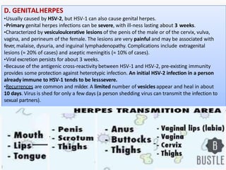 D. GENITALHERPES
•Usually caused by HSV-2, but HSV-1 can also cause genital herpes.
•Primary genital herpes infections can be severe, with ill-ness lasting about 3 weeks.
•Characterized by vesiculoulcerative lesions of the penis of the male or of the cervix, vulva,
vagina, and perineum of the female. The lesions are very painful and may be associated with
fever, malaise, dysuria, and inguinal lymphadenopathy. Complications include extragenital
lesions (≈ 20% of cases) and aseptic meningitis (≈ 10% of cases).
•Viral excretion persists for about 3 weeks.
•Because of the antigenic cross-reactivity between HSV-1 and HSV-2, pre-existing immunity
provides some protection against heterotypic infection. An initial HSV-2 infection in a person
already immune to HSV-1 tends to be lesssevere.
•Recurrences are common and milder. A limited number of vesicles appear and heal in about
10 days. Virus is shed for only a few days (a person shedding virus can transmit the infection to
sexual partners).
 