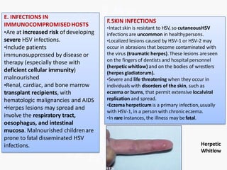 E. INFECTIONS IN
IMMUNOCOMPROMISEDHOSTS
•Are at increased risk of developing
severe HSV infections.
•Include patients
immunosuppressed by disease or
therapy (especially those with
deficient cellular immunity)
malnourished
•Renal, cardiac, and bone marrow
transplant recipients, with
hematologic malignancies and AIDS
•Herpes lesions may spread and
involve the respiratory tract,
oesophagus, and intestinal
mucosa. Malnourished childrenare
prone to fatal disseminated HSV
infections.
F.SKIN INFECTIONS
•Intact skin is resistant to HSV, so cutaneousHSV
infections are uncommon in healthypersons.
•Localized lesions caused by HSV-1 or HSV-2 may
occur in abrasions that become contaminated with
the virus (traumatic herpes).These lesions areseen
on the fingers of dentists and hospital personnel
(herpetic whitlow) and on the bodies of wrestlers
(herpes gladiatorum).
•Severe and life threatening when they occur in
individuals with disorders of the skin, such as
eczema or burns, that permit extensive localviral
replication and spread.
•Eczema herpeticum is a primary infection,usually
with HSV-1, in a person with chroniceczema.
•In rare instances, the illness may befatal.
Herpetic
Whitlow
 