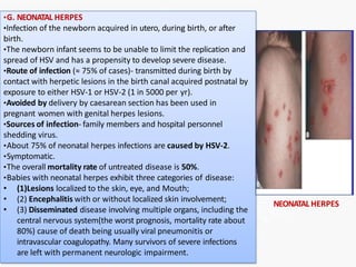•G. NEONATAL HERPES
•Infection of the newborn acquired in utero, during birth, or after
birth.
•The newborn infant seems to be unable to limit the replication and
spread of HSV and has a propensity to develop severe disease.
•Route of infection (≈ 75% of cases)- transmitted during birth by
contact with herpetic lesions in the birth canal acquired postnatal by
exposure to either HSV-1 or HSV-2 (1 in 5000 per yr).
•Avoided by delivery by caesarean section has been used in
pregnant women with genital herpes lesions.
•Sources of infection- family members and hospital personnel
shedding virus.
•About 75% of neonatal herpes infections are caused by HSV-2.
•Symptomatic.
•The overall mortality rate of untreated disease is 50%.
•Babies with neonatal herpes exhibit three categories of disease:
• (1)Lesions localized to the skin, eye, and Mouth;
• (2) Encephalitis with or without localized skin involvement;
• (3) Disseminated disease involving multiple organs, including the
central nervous system(the worst prognosis, mortality rate about
80%) cause of death being usually viral pneumonitis or
intravascular coagulopathy. Many survivors of severe infections
are left with permanent neurologic impairment.
NEONATALHERPES
 