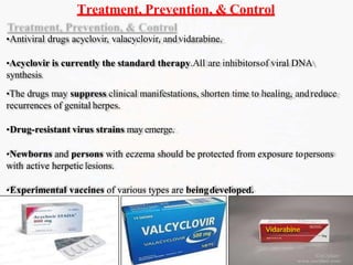 Treatment, Prevention, & Control
•Antiviral drugs acyclovir, valacyclovir, andvidarabine.
•Acyclovir is currently the standard therapy.All are inhibitorsof viral DNA
synthesis.
•The drugs may suppress clinical manifestations, shorten time to healing, andreduce
recurrences of genital herpes.
•Drug-resistant virus strains may emerge.
•Newborns and persons with eczema should be protected from exposure topersons
with active herpeticlesions.
•Experimental vaccines of various types are beingdeveloped.
Vidarabine
 