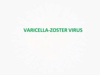 VARICELLA-ZOSTER VIRUS
 