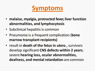 Symptoms
• malaise, myalgia, protracted fever,liver function
abnormalities, and lymphocytosis
• Subclinical hepatitis is common
• Pneumonia is a frequent complication (bone
marrow transplant recipients)
• result in death of the fetus in utero , survivors
develop significant CNS defects within 2 years;
severe hearing loss, ocular abnormalities,
deafness, and mental retardation arecommon
 