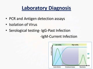 Laboratory Diagnosis
• PCR and Antigen detection assays
• Isolation of Virus
• Serological testing- IgG-Past Infection
-IgM-Current Infection
 