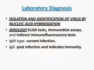 Laboratory Diagnosis
• ISOLATION AND IDENTIFICATION OF VIRUS BY
NUCLEIC ACID HYBRIDIZATION
• SEROLOGY ELISA tests, immunoblot assays,
and indirect immunofluorescence tests
• IgM type- current infection.
• IgG -past infection and indicates immunity.
 