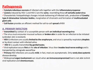 Pathogenesis
Cytolyticinfectious necrosis of infected cells together with the inflammatoryresponse
Lesions induced by HSV-1 and HSV-2 are the same, resembling those of varicella-zostervirus
Characteristic histopathologic changes include ballooning of infected cells, production of Cowdry
type A intranuclear inclusion bodies, margination of chromatin and formation of multinucleated
giant cells
Cell fusion provides an efficient method for cell-to-cell spread ofHSV
A. PRIMARY INFECTION
transmitted by contact of a susceptible person with an individual excretingvirus
The virus must encounter mucosal surfaces or broken skin in order for an infection to be initiated
(unbroken skin isresistant).
HSV-1 infections are usually limited to the oropharynx, and virus is spread by respiratorydroplets
or by direct contact with infected saliva.
 HSV-2 is usually transmitted by genitalroutes.
Viralreplication occurs first at the site of infection. Virus then invades local nerve endings and is
transported by retrograde axonalflow
Primary HSV infections are usually mild; in fact, most are asymptomatic. Only rarely doessystemic
disease develop.
Widespread organ involvement can result when an immunocompromised host is not able tolimit
viral replication and viremiaensues.
 
