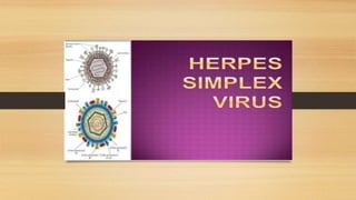 Herpes virus.