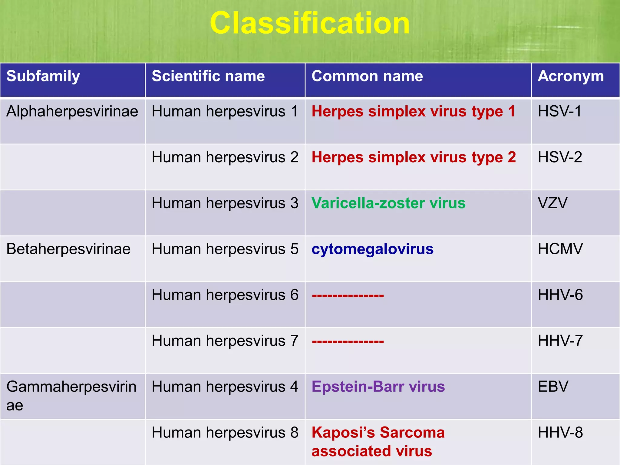 Classification
Subfamily Scientific name Common name Acronym
Alphaherpesvirinae Human herpesvirus 1 Herpes simplex virus type 1 HSV-1
Human herpesvirus 2 Herpes simplex virus type 2 HSV-2
Human herpesvirus 3 Varicella-zoster virus VZV
Betaherpesvirinae Human herpesvirus 5 cytomegalovirus HCMV
Human herpesvirus 6 -------------- HHV-6
Human herpesvirus 7 -------------- HHV-7
Gammaherpesvirin
ae
Human herpesvirus 4 Epstein-Barr virus EBV
Human herpesvirus 8 Kaposi’s Sarcoma
associated virus
HHV-8
 