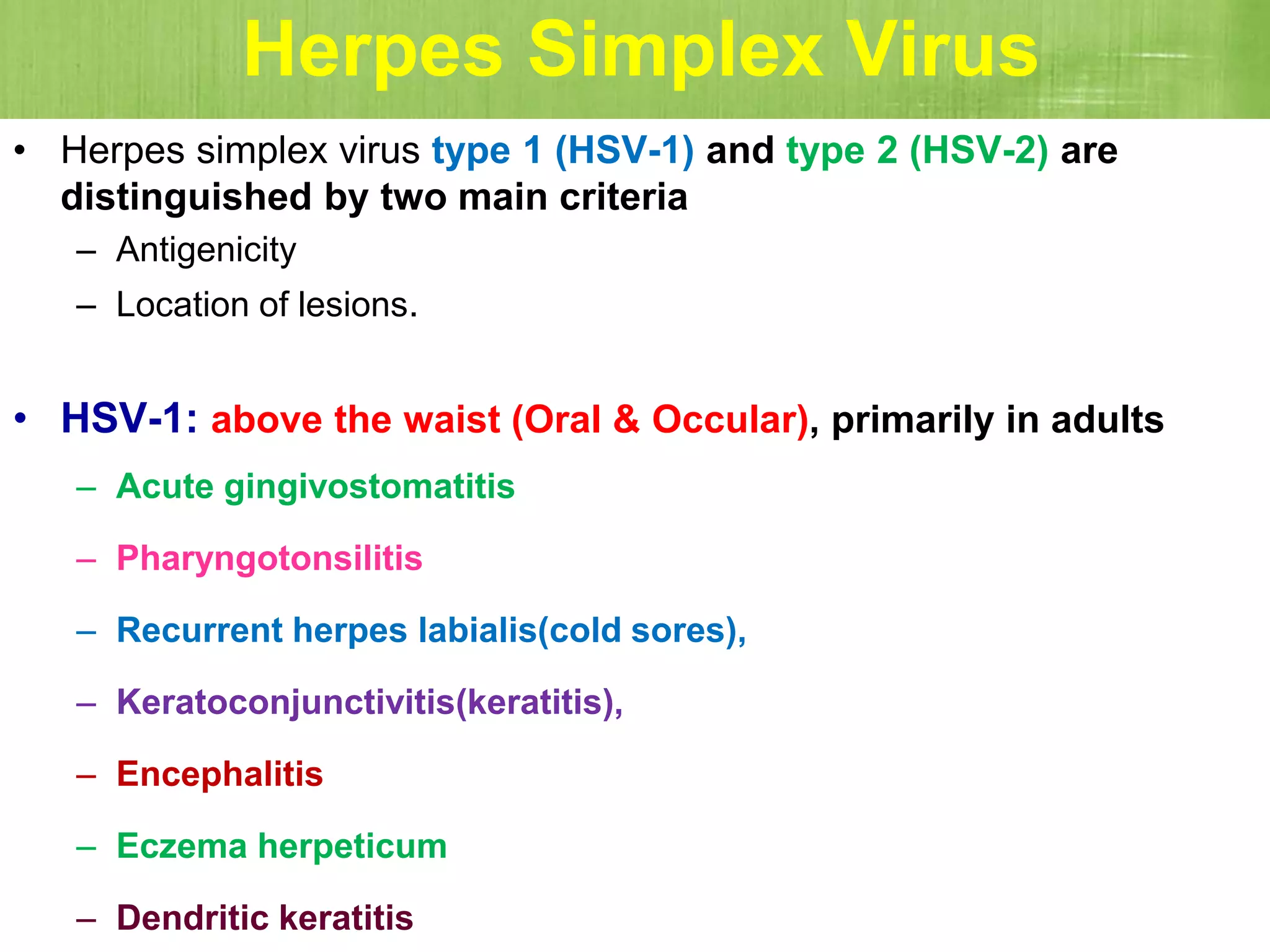 Herpes Simplex Virus
• Herpes simplex virus type 1 (HSV-1) and type 2 (HSV-2) are
distinguished by two main criteria
– Antigenicity
– Location of lesions.
• HSV-1: above the waist (Oral & Occular), primarily in adults
– Acute gingivostomatitis
– Pharyngotonsilitis
– Recurrent herpes labialis(cold sores),
– Keratoconjunctivitis(keratitis),
– Encephalitis
– Eczema herpeticum
– Dendritic keratitis
 