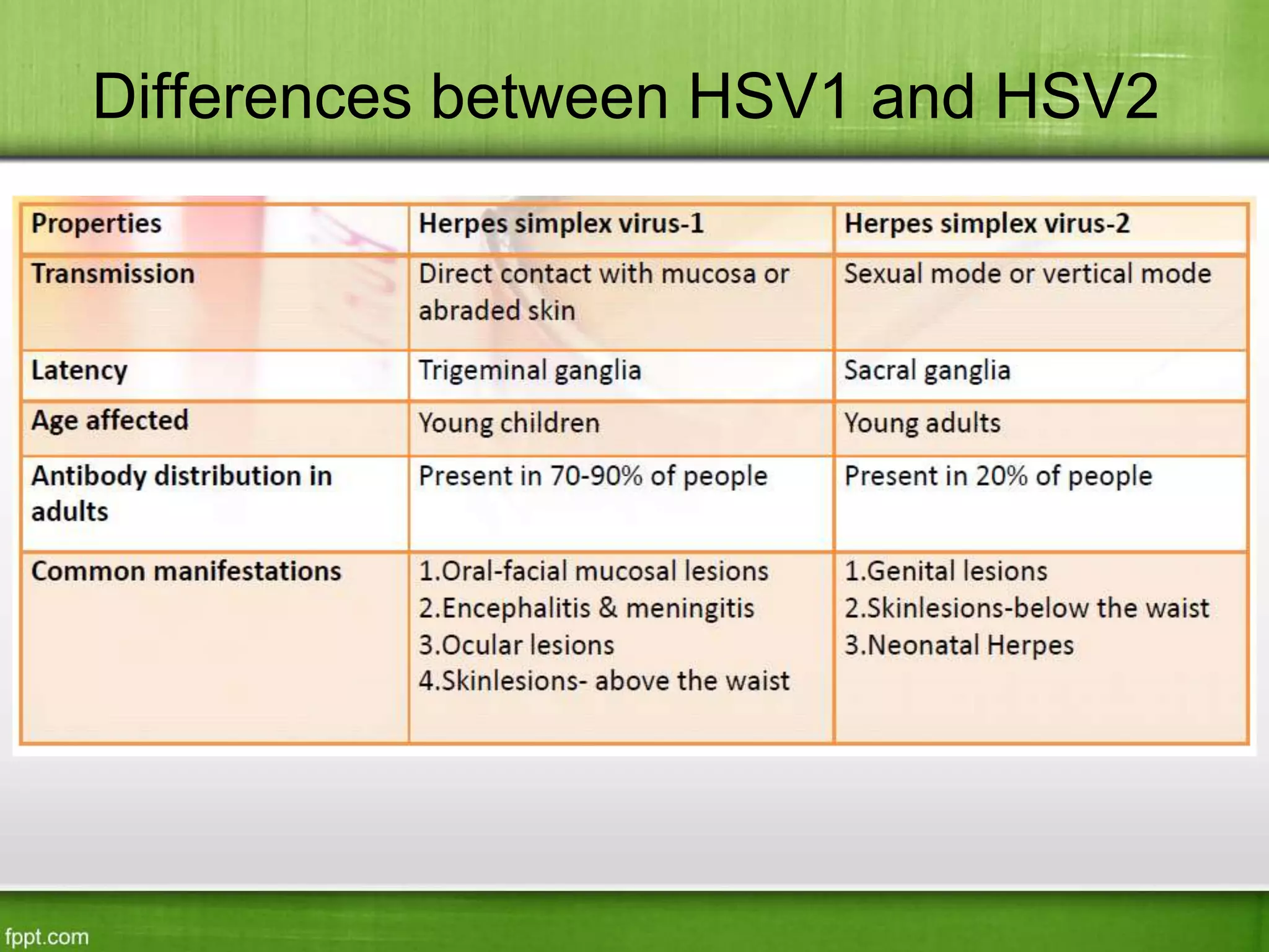 Differences between HSV1 and HSV2
 