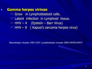 Gamma herpes virinae Grow in Lymphoblastoid cells. Latent infection in Lymphoid tissue. HHV – 4 (Epstein – Barr Virus) HHV – 8 ( Kaposi’s sarcoma herpes virus) Neurotropic viruses: HSV,VZV; Lymphotropic viruses: EBV,HHV6,HHV7