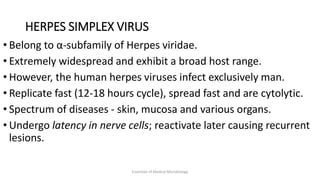 HERPES SIMPLEX VIRUS
• Belong to α-subfamily of Herpes viridae.
• Extremely widespread and exhibit a broad host range.
• However, the human herpes viruses infect exclusively man.
• Replicate fast (12-18 hours cycle), spread fast and are cytolytic.
• Spectrum of diseases - skin, mucosa and various organs.
• Undergo latency in nerve cells; reactivate later causing recurrent
lesions.
Essentials of Medical Microbiology
 
