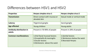 Differences between HSV1 and HSV2
Properties Herpes simplex virus-1 Herpes simplex virus-2
Transmission Direct contact with mucosa or
abraded skin
Sexual mode or vertical mode
Latency Trigeminal ganglia Sacral ganglia
Age affected Young children Young adults
Antibody distribution in
adults
Present in 70-90% of people Present in 20% of people
Common manifestations 1.Oral-facial mucosal lesions
2.Encephalitis & meningitis
3.Ocular lesions
4.Skinlesions- above the waist
1.Genital lesions
2.Skinlesions-below the waist
3.Neonatal Herpes
Essentials of Medical Microbiology
 