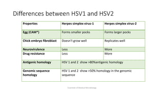 Differences between HSV1 and HSV2
Properties Herpes simplex virus-1 Herpes simplex virus-2
Egg (CAM*) Forms smaller pocks Forms larger pocks
Chick embryo fibroblast Doesn’t grow well Replicates well
Neurovirulence Less More
Drug resistance Less More
Antigenic homology HSV 1 and 2 show >80%antigenic homology
Genomic sequence
homology
HSV 1 and 2 show >50% homology in the genomic
sequence
Essentials of Medical Microbiology
 