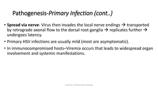 Pathogenesis-Primary Infection (cont..)
• Spread via nerve- Virus then invades the local nerve endings  transported
by retrograde axonal flow to the dorsal root ganglia  replicates further 
undergoes latency.
• Primary HSV infections are usually mild (most are asymptomatic).
• In immunocompromised hosts–Viremia occurs that leads to widespread organ
involvement and systemic manifestations.
Essentials of Medical Microbiology
 