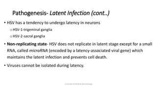 Pathogenesis- Latent Infection (cont..)
• HSV has a tendency to undergo latency in neurons
o HSV-1-trigeminal ganglia
o HSV-2-sacral ganglia
• Non-replicating state- HSV does not replicate in latent stage except for a small
RNA, called microRNA (encoded by a latency-associated viral gene) which
maintains the latent infection and prevents cell death.
• Viruses cannot be isolated during latency.
Essentials of Medical Microbiology
 