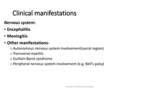 Clinical manifestations
Nervous system:
• Encephalitis
• Meningitis
• Other manifestations-
o Autonomous nervous system involvement(sacral region)
o Transverse myelitis
o Guillain-Barré syndrome
o Peripheral nervous system involvement (e.g. Bell's palsy)
Essentials of Medical Microbiology
 
