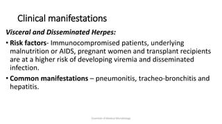 Clinical manifestations
Visceral and Disseminated Herpes:
• Risk factors- Immunocompromised patients, underlying
malnutrition or AIDS, pregnant women and transplant recipients
are at a higher risk of developing viremia and disseminated
infection.
• Common manifestations – pneumonitis, tracheo-bronchitis and
hepatitis.
Essentials of Medical Microbiology
 