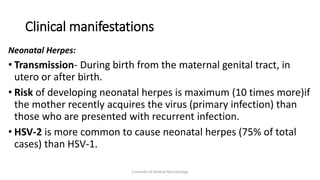 Clinical manifestations
Neonatal Herpes:
• Transmission- During birth from the maternal genital tract, in
utero or after birth.
• Risk of developing neonatal herpes is maximum (10 times more)if
the mother recently acquires the virus (primary infection) than
those who are presented with recurrent infection.
• HSV-2 is more common to cause neonatal herpes (75% of total
cases) than HSV-1.
Essentials of Medical Microbiology
 