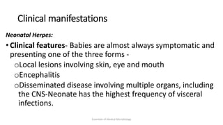 Clinical manifestations
Neonatal Herpes:
• Clinical features- Babies are almost always symptomatic and
presenting one of the three forms -
oLocal lesions involving skin, eye and mouth
oEncephalitis
oDisseminated disease involving multiple organs, including
the CNS-Neonate has the highest frequency of visceral
infections.
Essentials of Medical Microbiology
 