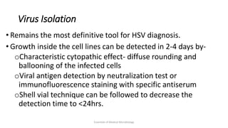 Virus Isolation
• Remains the most definitive tool for HSV diagnosis.
• Growth inside the cell lines can be detected in 2-4 days by-
oCharacteristic cytopathic effect- diffuse rounding and
ballooning of the infected cells
oViral antigen detection by neutralization test or
immunofluorescence staining with specific antiserum
oShell vial technique can be followed to decrease the
detection time to <24hrs.
Essentials of Medical Microbiology
 