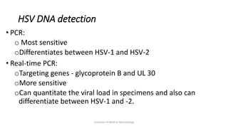 HSV DNA detection
• PCR:
o Most sensitive
oDifferentiates between HSV-1 and HSV-2
• Real-time PCR:
oTargeting genes - glycoprotein B and UL 30
oMore sensitive
oCan quantitate the viral load in specimens and also can
differentiate between HSV-1 and -2.
Essentials of Medical Microbiology
 