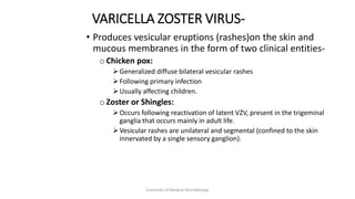 VARICELLA ZOSTER VIRUS-
• Produces vesicular eruptions (rashes)on the skin and
mucous membranes in the form of two clinical entities-
o Chicken pox:
Generalized diffuse bilateral vesicular rashes
Following primary infection
Usually affecting children.
o Zoster or Shingles:
Occurs following reactivation of latent VZV, present in the trigeminal
ganglia that occurs mainly in adult life.
Vesicular rashes are unilateral and segmental (confined to the skin
innervated by a single sensory ganglion).
Essentials of Medical Microbiology
 