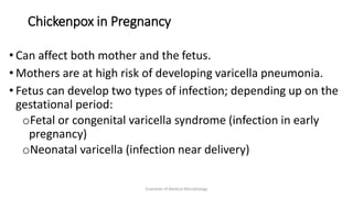 Chickenpox in Pregnancy
• Can affect both mother and the fetus.
• Mothers are at high risk of developing varicella pneumonia.
• Fetus can develop two types of infection; depending up on the
gestational period:
oFetal or congenital varicella syndrome (infection in early
pregnancy)
oNeonatal varicella (infection near delivery)
Essentials of Medical Microbiology
 