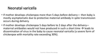 Neonatal varicella
• If mother develops chickenpox more than 5 days before delivery— then baby is
mostly asymptomatic due to protective maternal antibody in spite transmission
occurs during delivery.
• If mother develops chickenpox 5 days before to 2 days after the delivery—
maternal antibodies would not have produced in such a short time  leads to
dissemination of virus in the baby to cause neonatal varicella (a severe form of
chickenpox with mortality rate exceeding 30%).
Essentials of Medical Microbiology
 