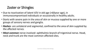 Zoster or Shingles
• Due to reactivation of latent VZV in old age (>60year age), in
immunocompromised individuals or occasionally in healthy adults.
• Starts with severe pain in the area of skin or mucosa supplied by one or more
groups of sensory nerves and ganglia.
• Rashes- are unilateral and segmental, confined to the area of skin supplied by
the affected nerves
• Most common nerve involved- ophthalmic branch of trigeminal nerve. Head,
neck and trunk are the most common affected sites.
Essentials of Medical Microbiology
 
