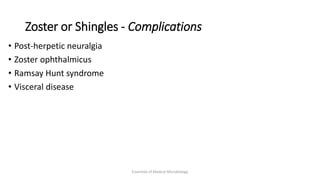 Zoster or Shingles - Complications
• Post-herpetic neuralgia
• Zoster ophthalmicus
• Ramsay Hunt syndrome
• Visceral disease
Essentials of Medical Microbiology
 