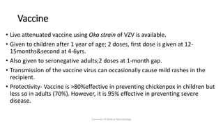 Vaccine
• Live attenuated vaccine using Oka strain of VZV is available.
• Given to children after 1 year of age; 2 doses, first dose is given at 12-
15months&second at 4-6yrs.
• Also given to seronegative adults;2 doses at 1-month gap.
• Transmission of the vaccine virus can occasionally cause mild rashes in the
recipient.
• Protectivity- Vaccine is >80%effective in preventing chickenpox in children but
less so in adults (70%). However, it is 95% effective in preventing severe
disease.
Essentials of Medical Microbiology
 